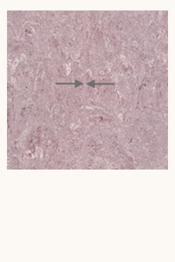 FORBO Schmelzdraht uni/multicolor