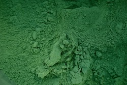 Tannengrün