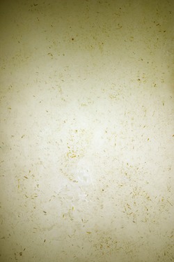 Dekoration (Zuschläge)